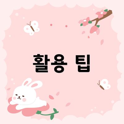 활용 팁