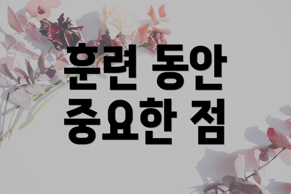 훈련 동안 중요한 점