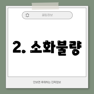 2. 소화불량