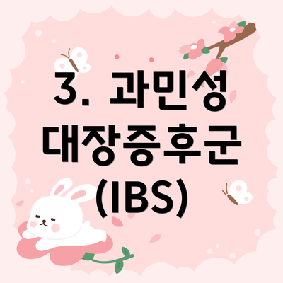 3. 과민성 대장증후군 (IBS)