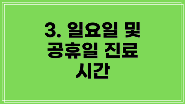 3. 일요일 및 공휴일 진료 시간