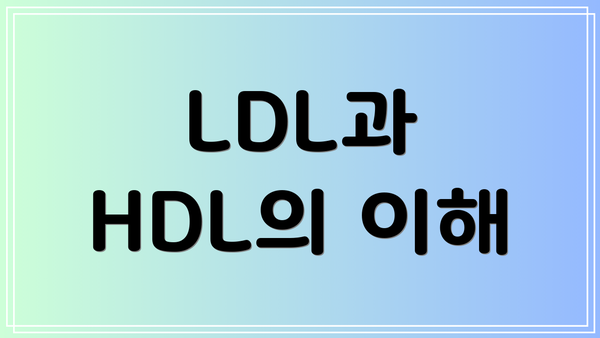 LDL과 HDL의 이해