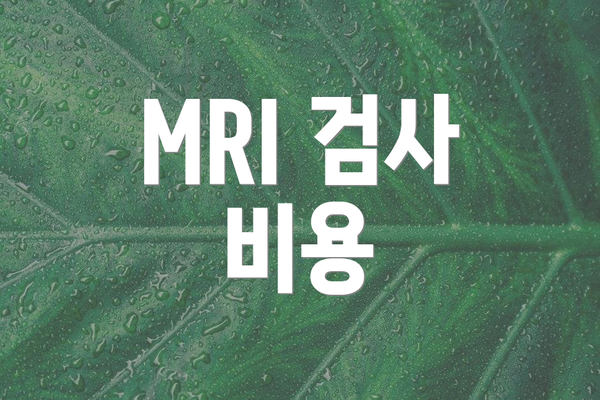 MRI 검사 비용