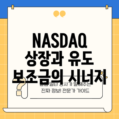 NASDAQ 상장과 유도 보조금의 시너지